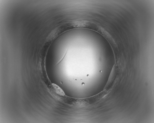 X0000067470209200604071203