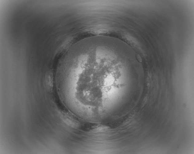 X0000067470210200604071203