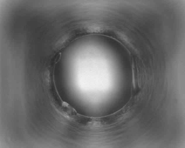 X0000067470211200604071203