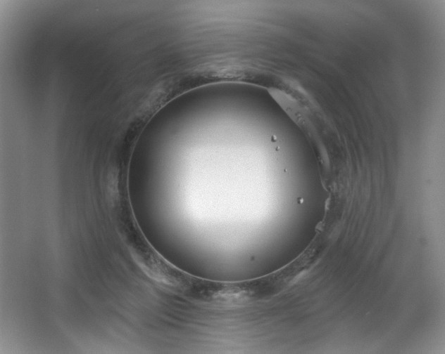 X0000067470213200604071203