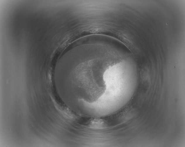 X0000067470214200604071202