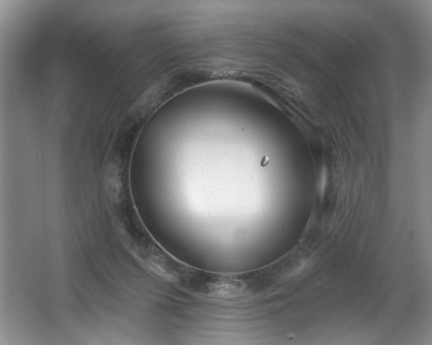 X0000067470215200604071202