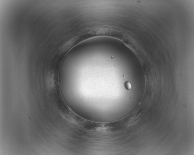 X0000067470216200604071202