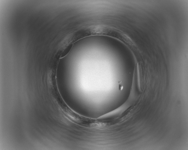 X0000067470217200604071202