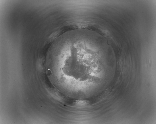 X0000067470218200604071202