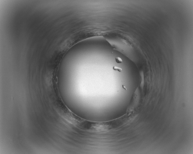 X0000067470221200604071202