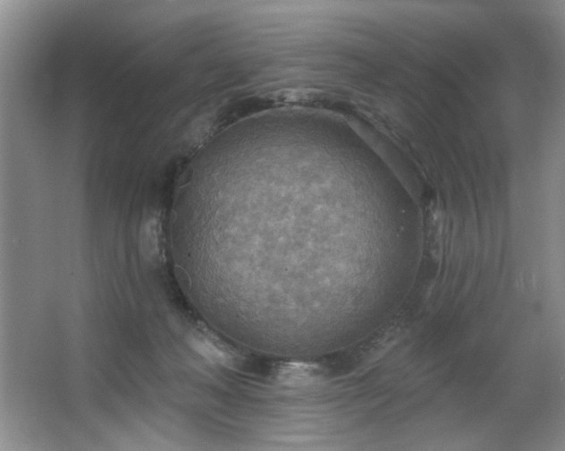 X0000067470222200604071202