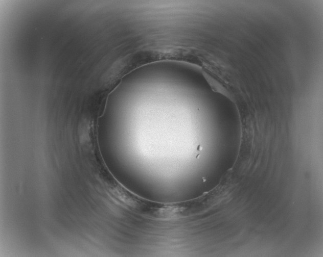 X0000067470225200604071202