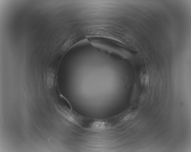 X0000067470227200604071202