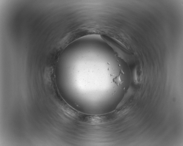 X0000067470229200604071202