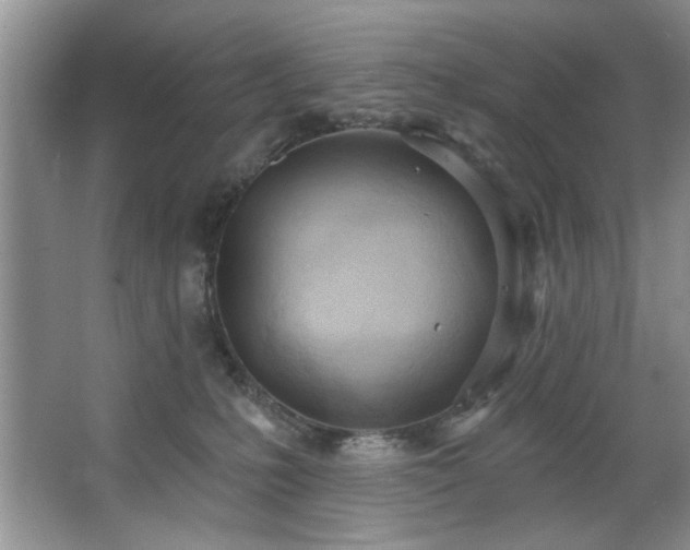 X0000067470231200604071202