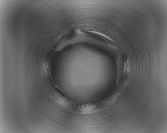 X0000067470235200604071202