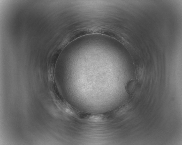 X0000067470236200604071202