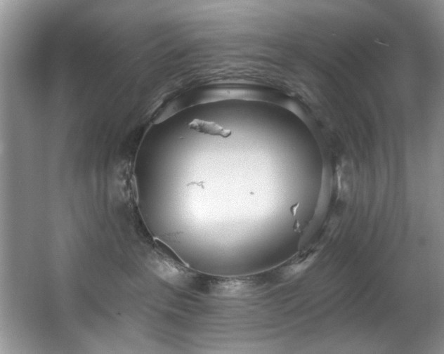 X0000067470237200604071202