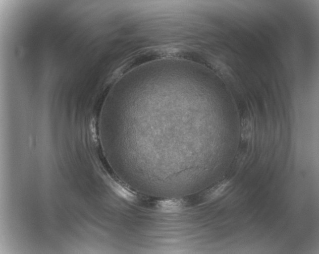 X0000067470238200604071202