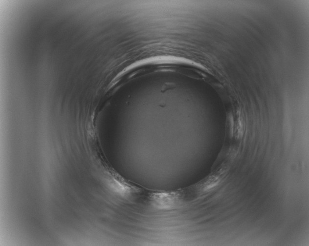 X0000067470239200604071202