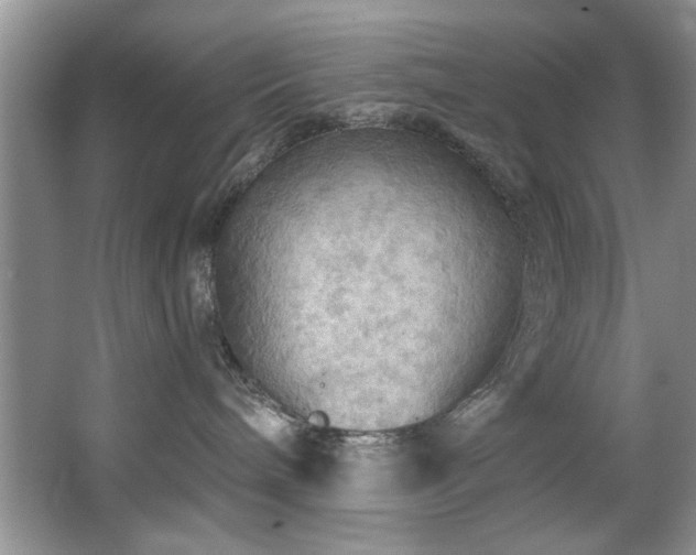 X0000067470240200604071202