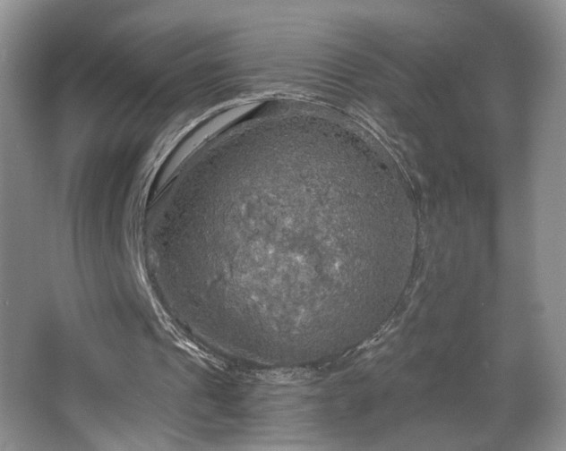 X0000067470241200604071201