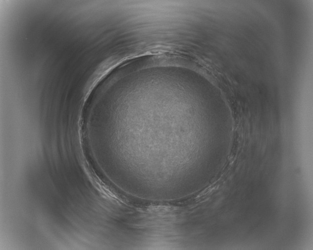 X0000067470242200604071201