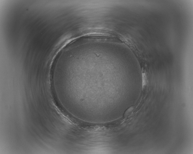 X0000067470243200604071201