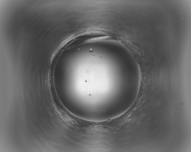 X0000067470244200604071201