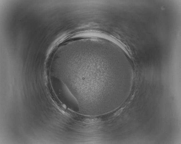 X0000067470245200604071201