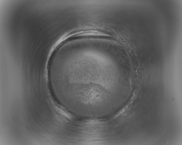 X0000067470246200604071201