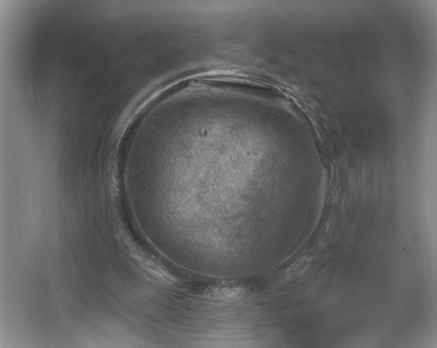 X0000067470247200604071201