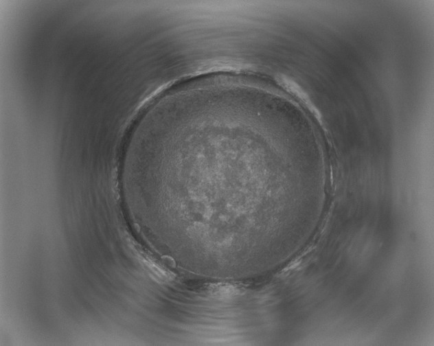 X0000067470249200604071201