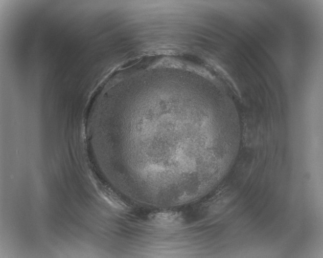 X0000067470251200604071201