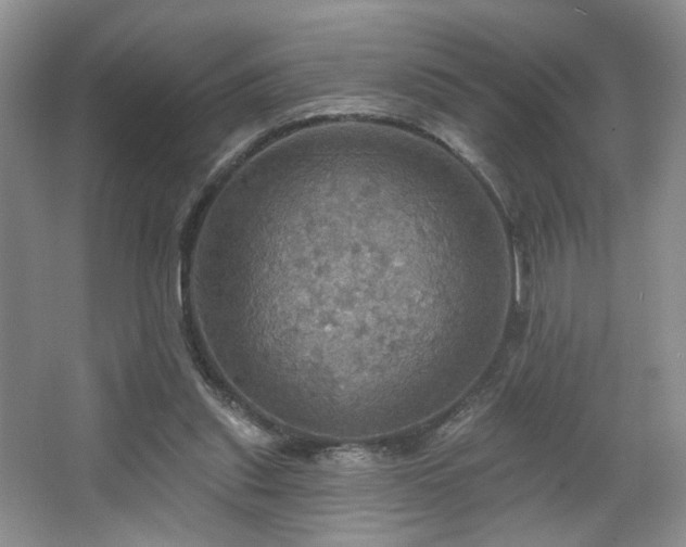 X0000067470253200604071201