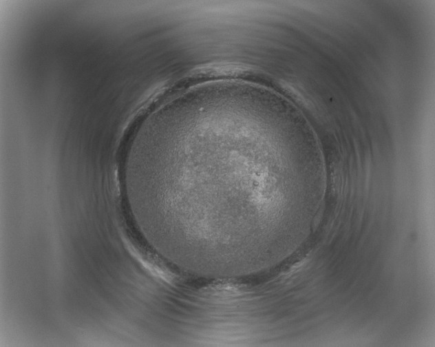 X0000067470254200604071201