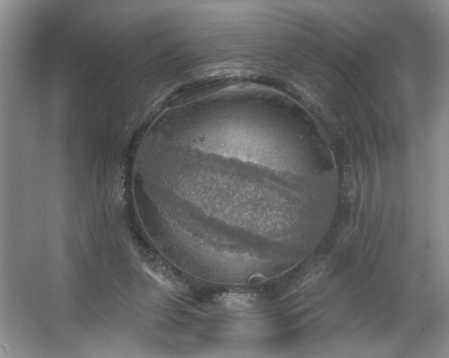 X0000067470255200604071201