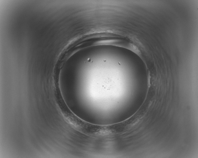 X0000067470256200604071201