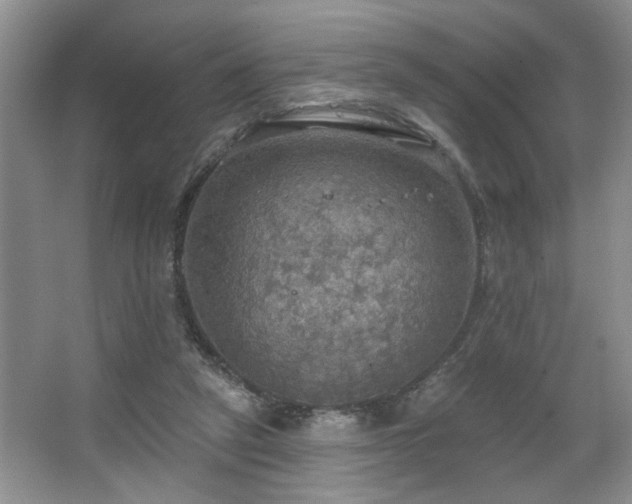 X0000067470257200604071202