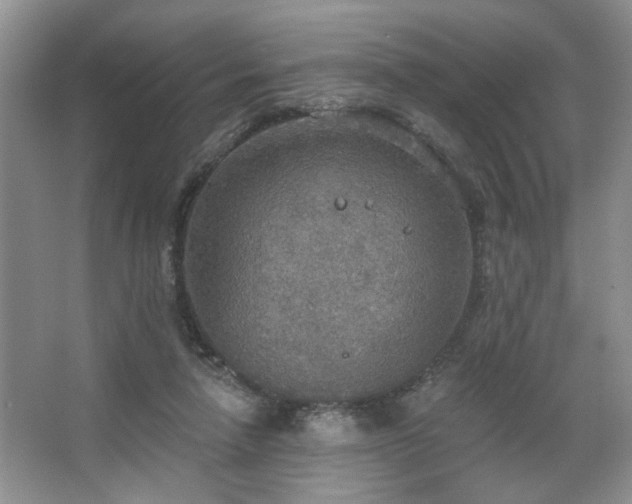 X0000067470258200604071202