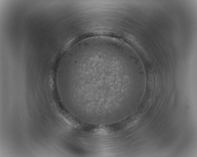 X0000067470259200604071202