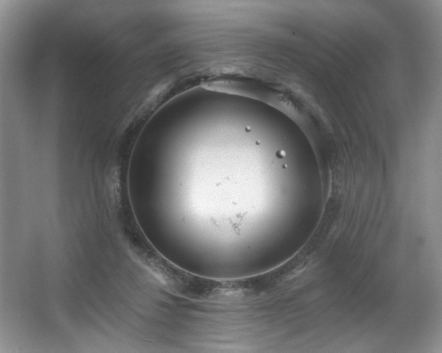 X0000067470260200604071202