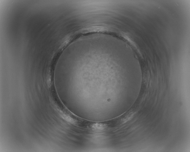 X0000067470261200604071202