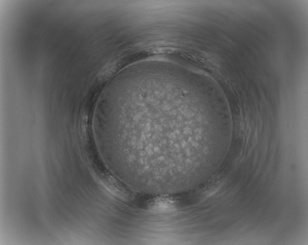 X0000067470263200604071202