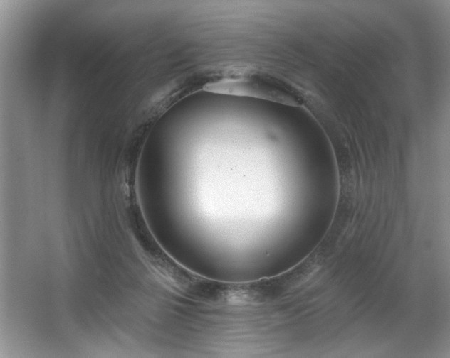 X0000067470264200604071202