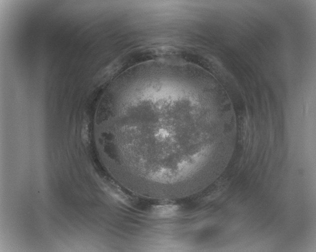 X0000067470266200604071202