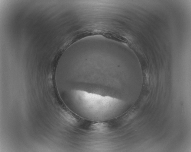 X0000067470269200604071202