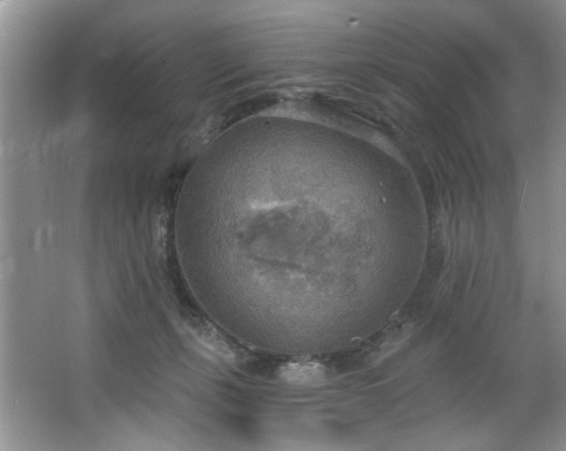 X0000067470271200604071202