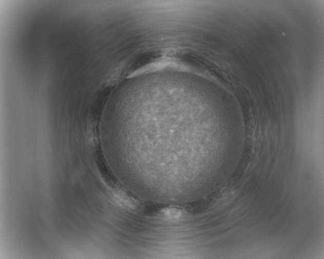 X0000067470272200604071202