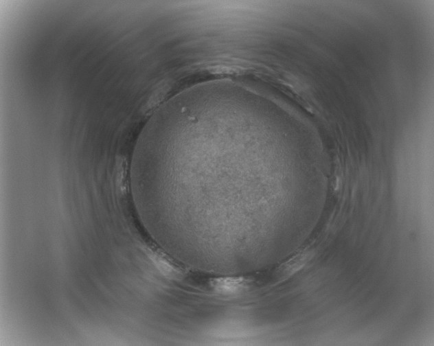 X0000067470273200604071202