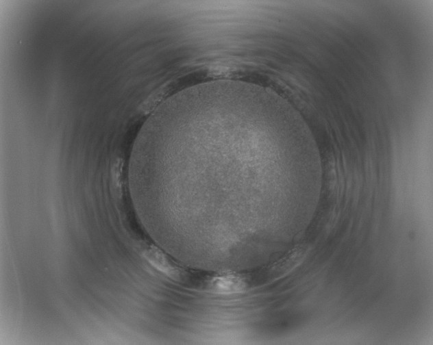 X0000067470275200604071202