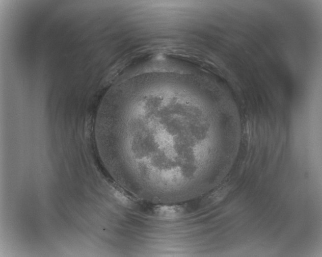 X0000067470277200604071202