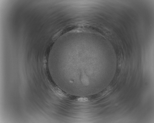 X0000067470279200604071202