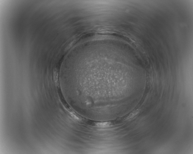 X0000067470281200604071202